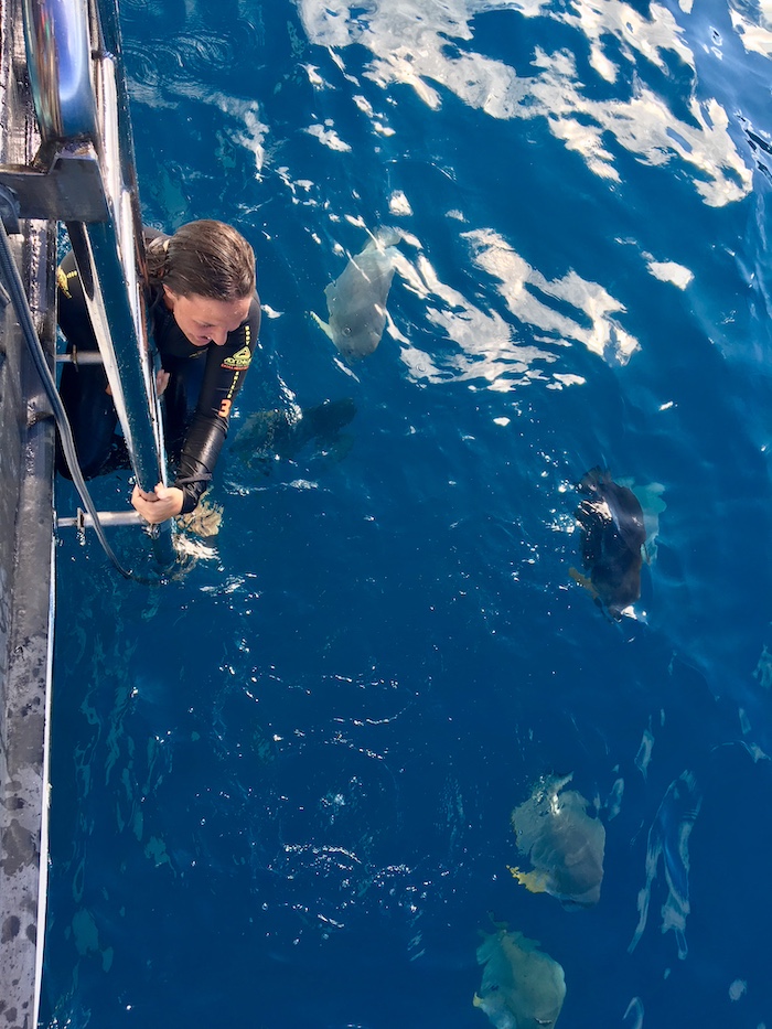 Pauline diving next to a boat