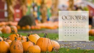 October calendar with pumpkin picture in the background